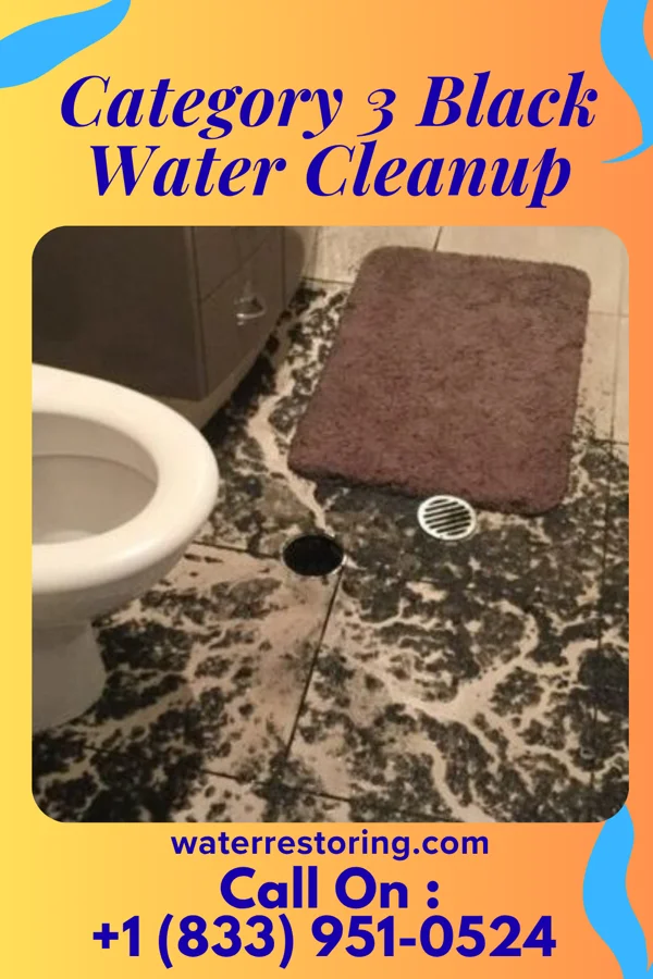 Category 3 Black Water Cleanup in Susquehanna Trails, PA