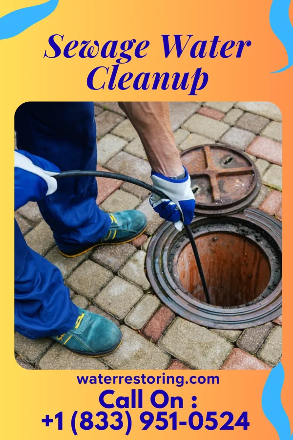 Sewage Water Cleanup in Susquehanna Trails, PA