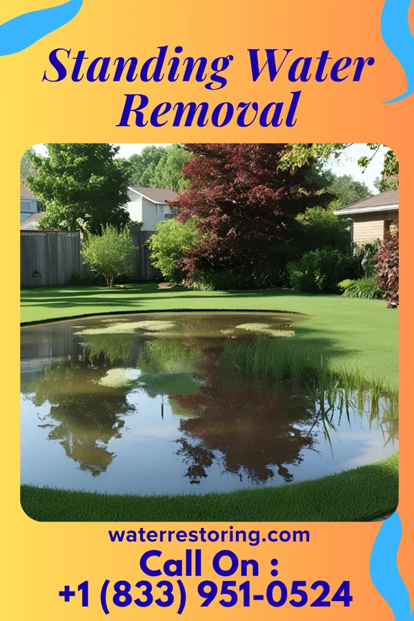 Standing Water Removal in Susquehanna Trails, PA